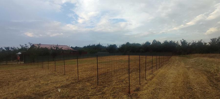 Oază de liniște și natură: Teren intravilan de 940 mp în Hemeiuș, Bacău - 6