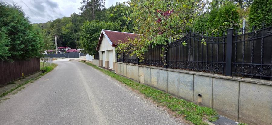 Vila Superba pe Slatina-Luncani - 4