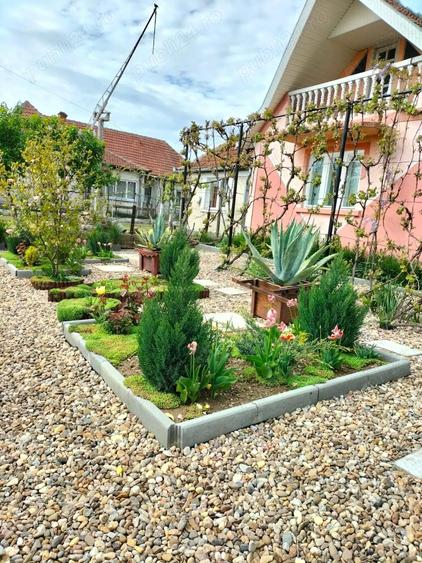 De vinzare casa Baba?e?ti jud Satu mare - 9