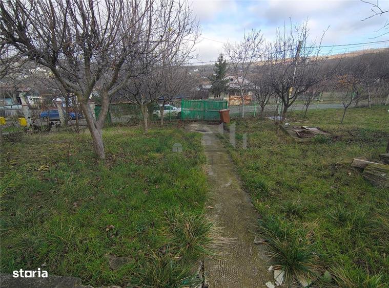 Teren Bucium - Trecatoarea Paun - 3