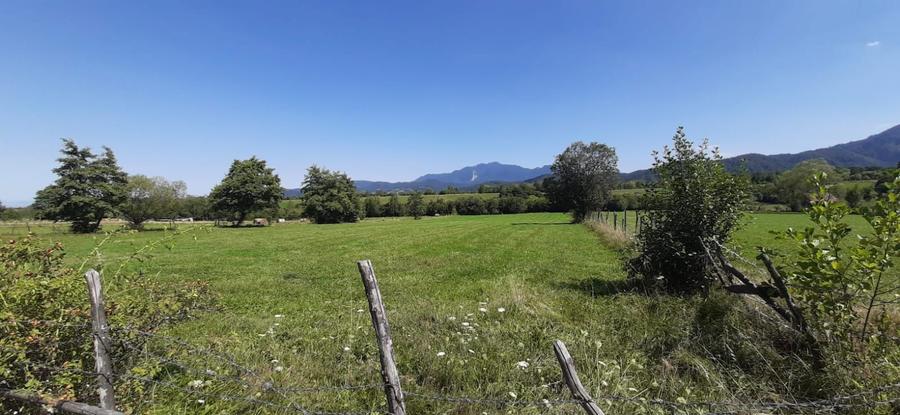 Teren Bran - Sohodol - 1