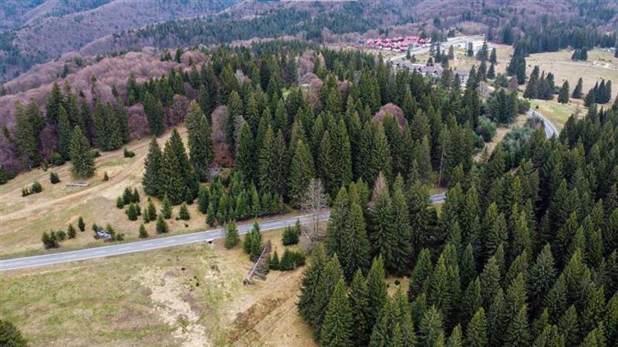 Teren cu potential:1.000 mp,proiect turistic/rezidential,Poiana Brasov - 12