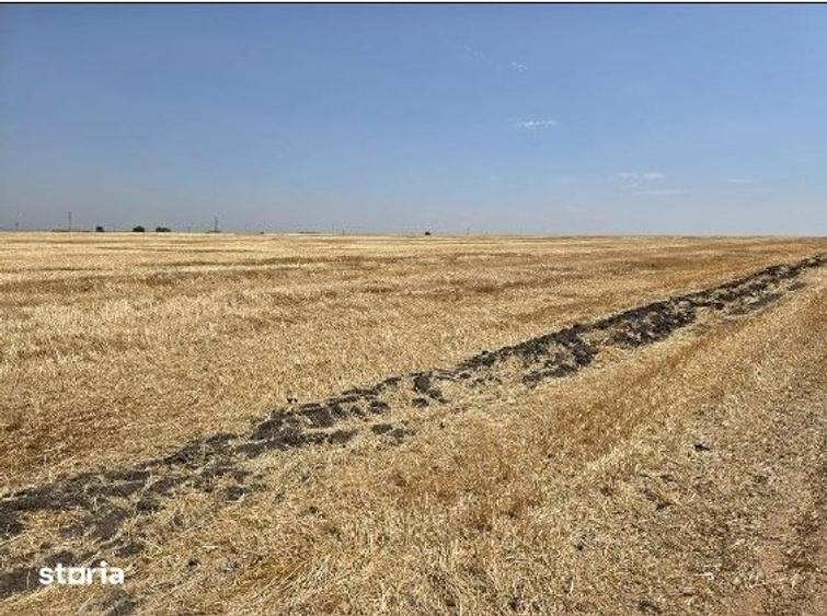 Teren de 16700 mp, în Fântânele