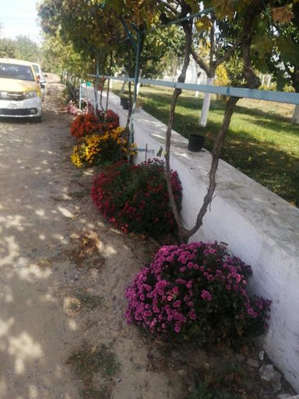 Casa la tara cu gradina - 2