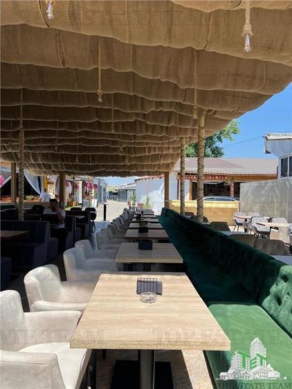 AFACERE LA CHEIE COSTINESTI - 3