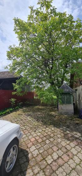 Vand sau Schimb cu apartament -Casa Com. Gurahon? sat Bontesti -3000mp - 8