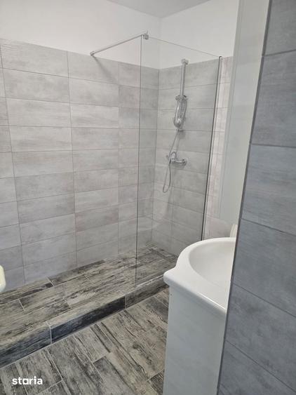 Casa 4 camere zona Banu Manta Titulescu,Grivitei - 10