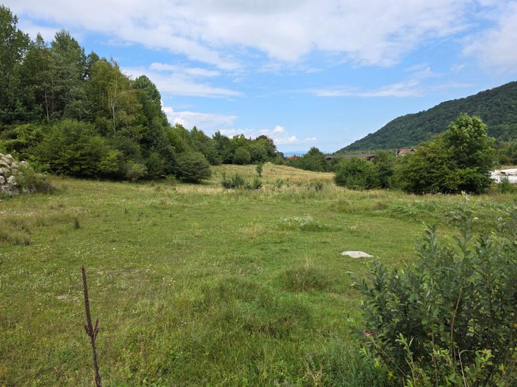 Teren Bod sat zona Dacia plant - 5