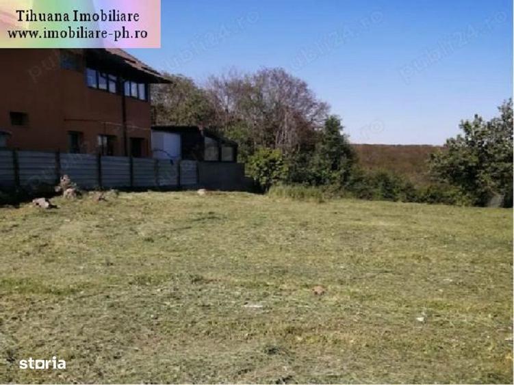 Teren de vanzare - Cocosesti(com. Paulesti) - 2