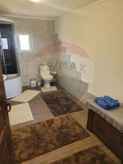 Vânzare casa la munte - zona turistica - Baia de Fier - 9