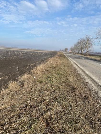 Vand teren agricol Halchiu - 2