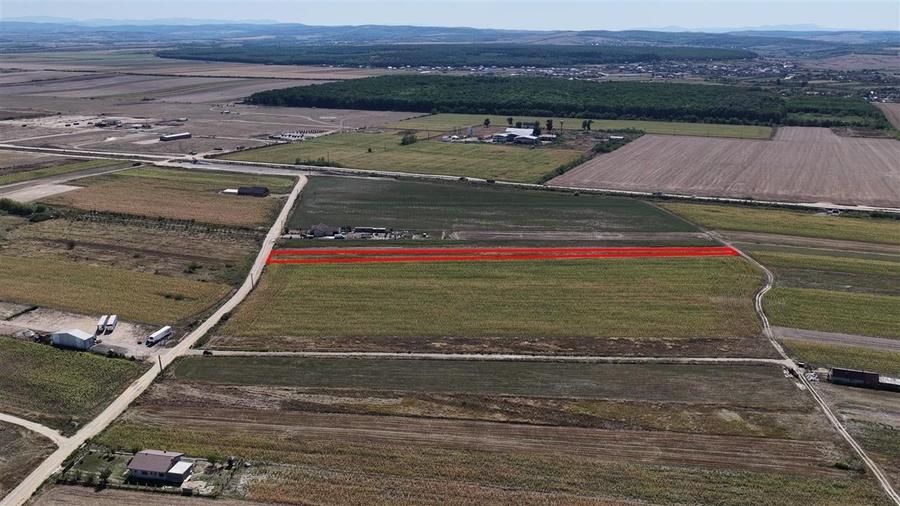 RECO Teren Intravilan Osorhei - 1