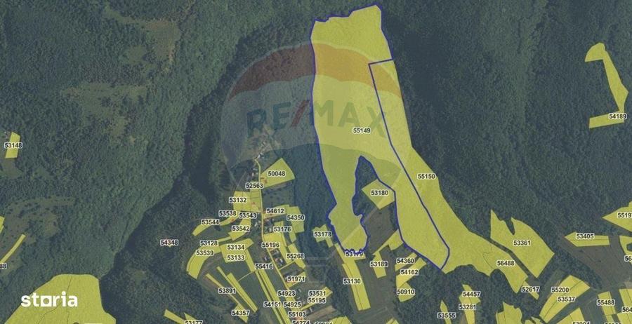 Padure 34 ha Capusu Mare - 3