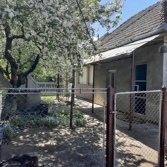 Casa de vanzare - 2