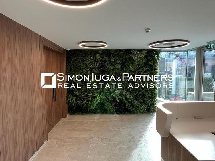 Birouri de inchiriat Brancusi - 3