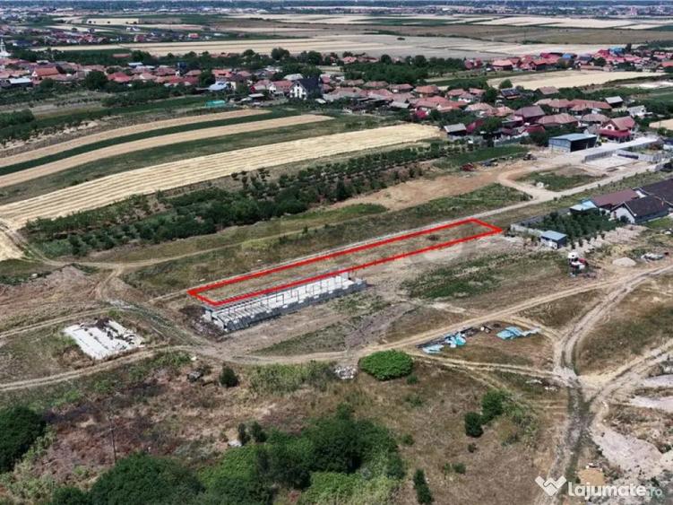 RECO Teren intravilan in Cheriu 1.232mp - 2