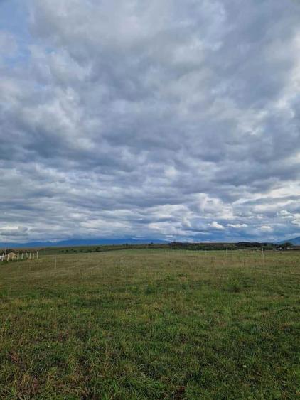 Teren intravilan cu PUZ finalizat 130 /m2 - 1