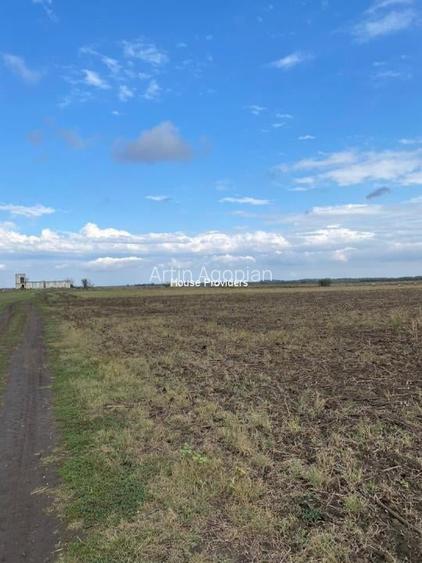 Vânzare teren extravilan 7500 mp, Berceni, Ilfov
