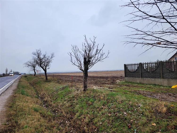 Teren intravilan,Calea Aradului,zona aeroport, Oradea - 1