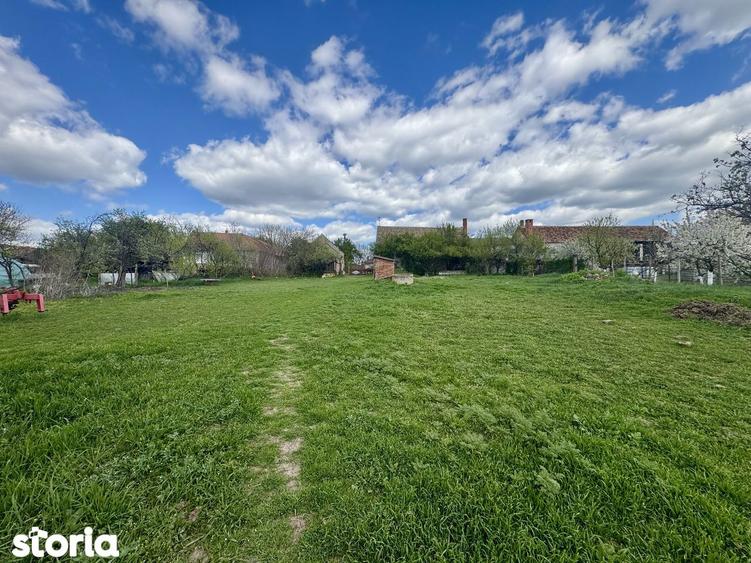 Vand teren 4097 mp, Aradul Nou - 4