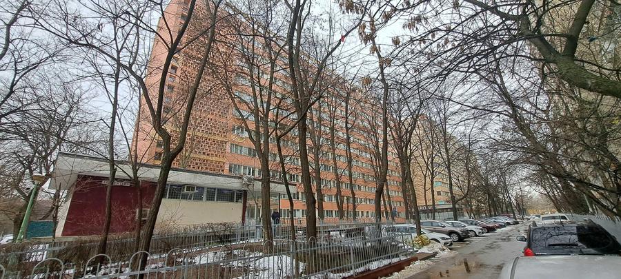 Titan Piata Minis - 6