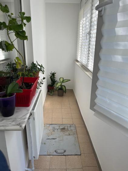 Vanzare apartament 3 cam la parter cu balcon stradal zona Parc Sebastian sect 5 - 6