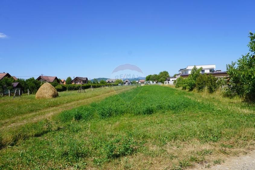 Teren 1,687mp Sighetu Marmatiei / Strada Doboies - 3