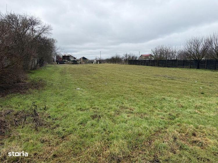 Teren de Vanzare Gradistea Sitaru - 1