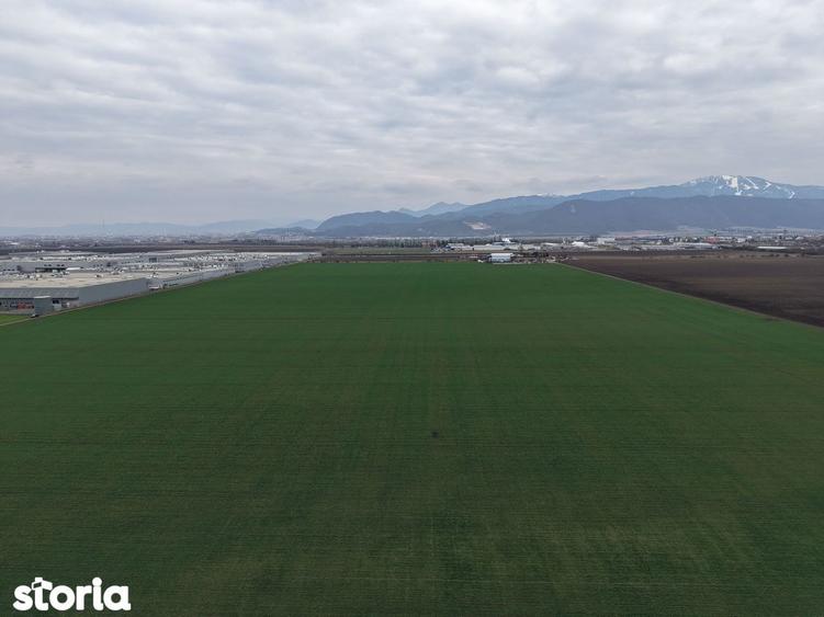 Teren de vanzare 20.000mp Ghimbav, langa Parcul Industrial - 4