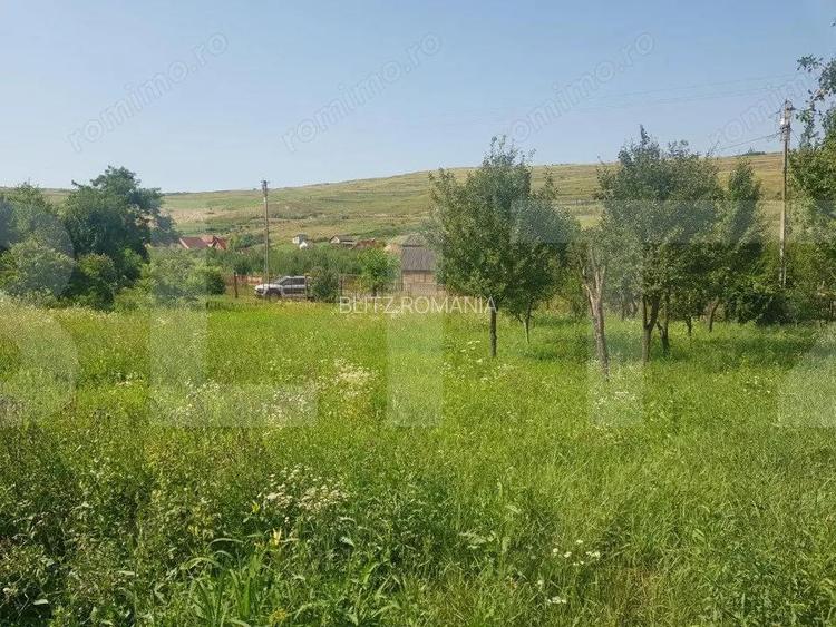 Teren intravilan Campenesti, 11600 mp, 43 ml front, pentru ansamblu de case!