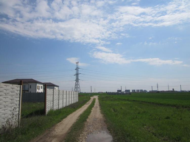 Domnesti-Simfoniei. - 6