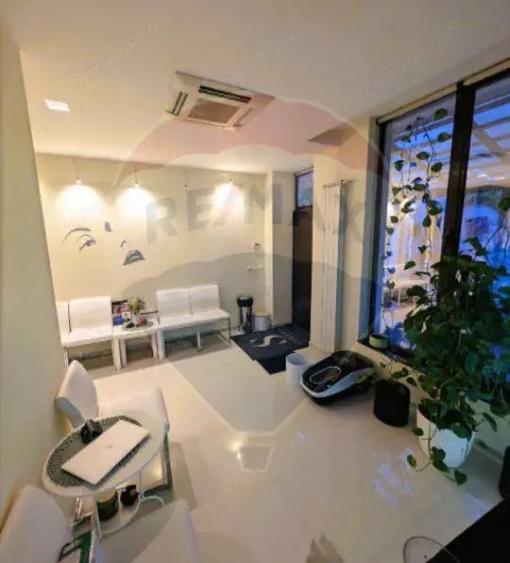 Vila spatiu premium de inchiriat in Cotroceni, Bucuresti - 13