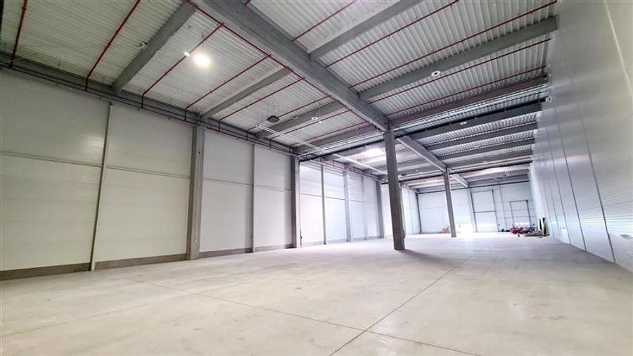 Hala industriala de inchiriat , Timisoara exterior NORD - 6