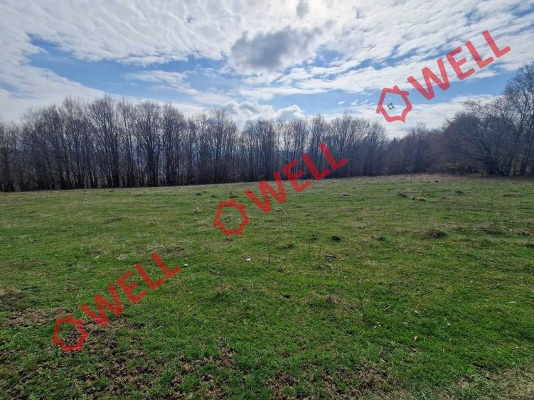 De vânzare teren extravilan în localitatea Brădet! - 5