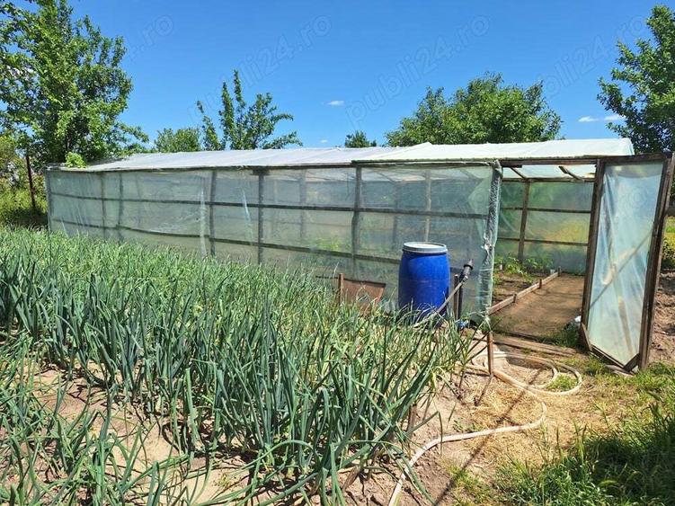 Vand casa de caramida cu teren comuna Stancuta jud Braila - 3