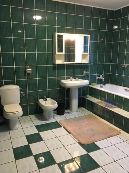 OVIDIU PARTEA CU GHIOLUL vila - 6