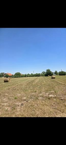 Teren Cadar intravilan - 4