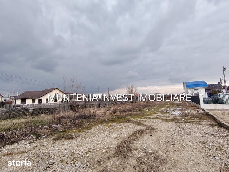 Teren de 7000 mp, în Bradu
