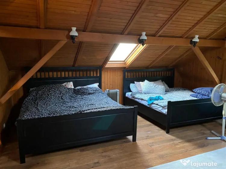 Casă cu 5 camere cu Teren 3000 Mp în Făget