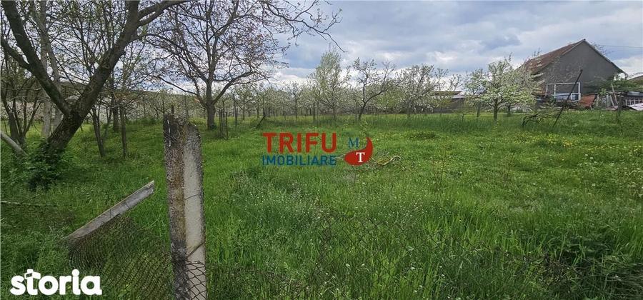 Casa veche + teren 3100 mp | Galda de Jos | Acces rau - 3