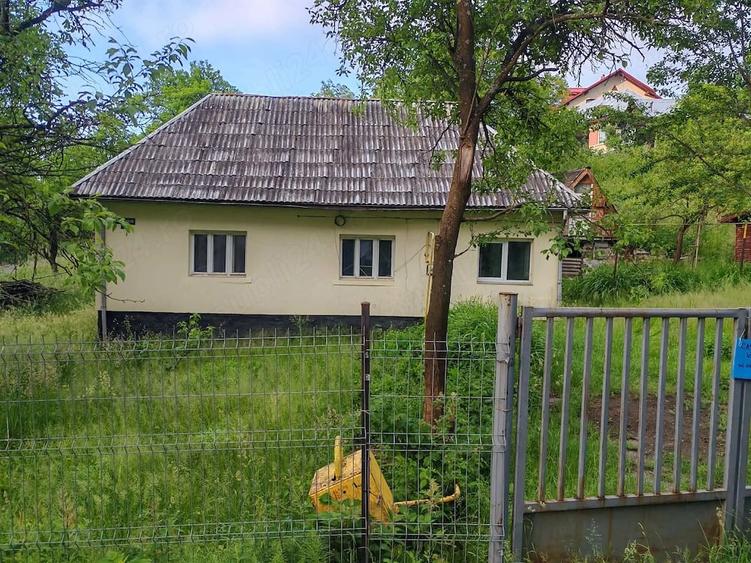 Teren intravilan si gospodarie batraneasca in Cavnic - 2