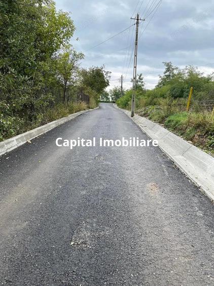 Teren de vanzare in Jucu de Sus: 1763 mp - 6