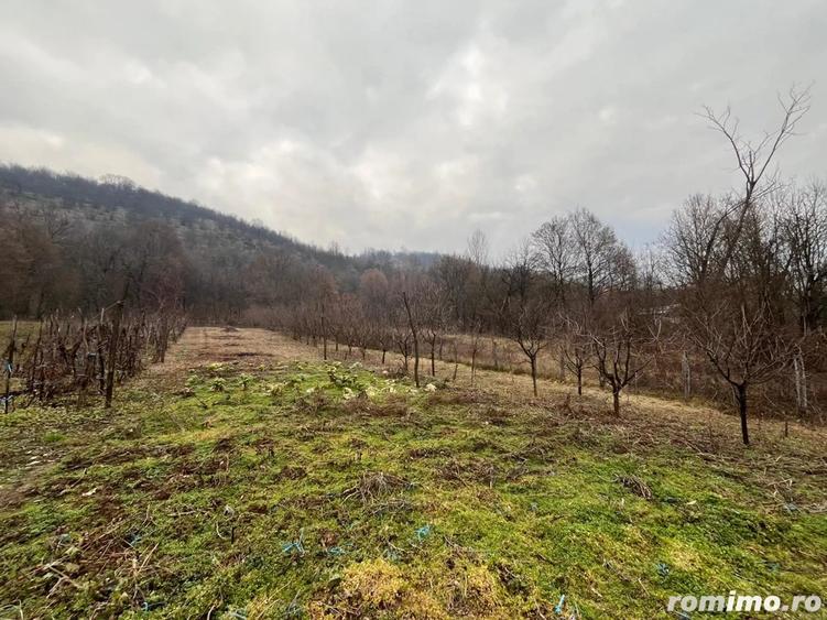 Vand TEREN ?i casa in satul Costeni, comuna Tismana, jude?ul Gorj. - 5
