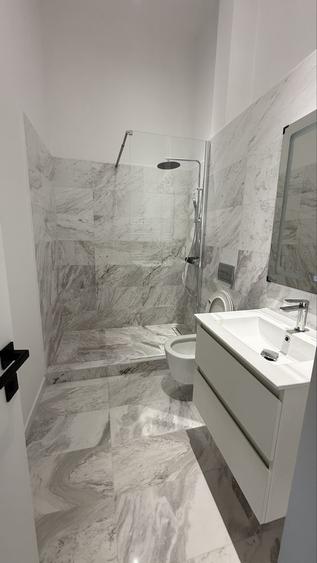 Apartament 2 camere in bloc nou-Piata domenii - 4