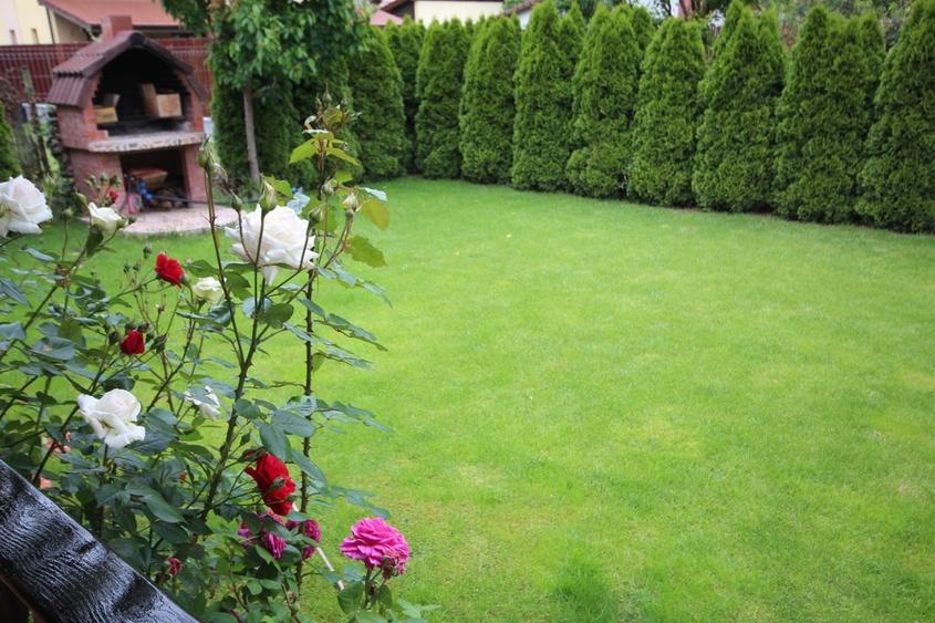 Casa individuala, ideala pentru o familie - 1