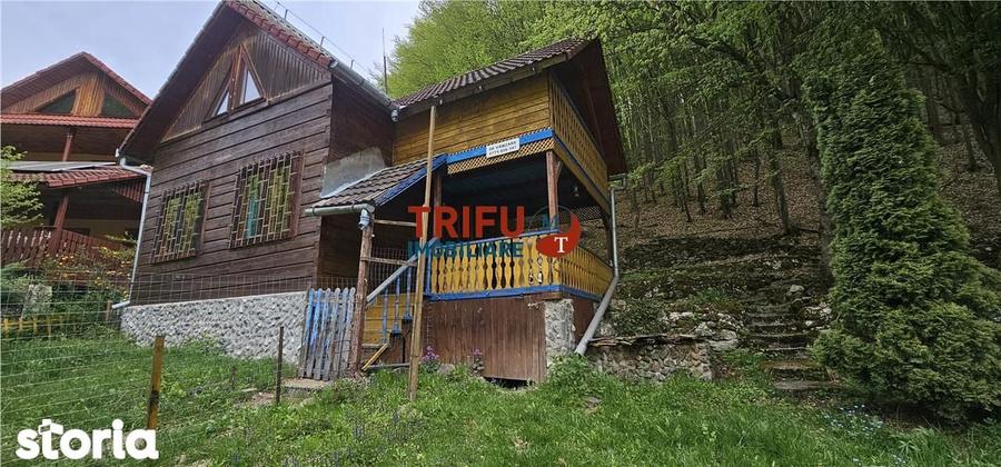 Casa de vacan?a la padure | Teren 891 mp | Valea Ighielului - 7