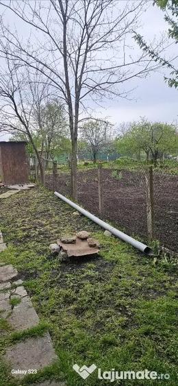 Vand gospodarie casa si teren ,gradina - 14