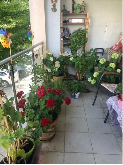 Apartament 3 camere 118mp 3 bai Living 50mp 2 locuri parcare incluse Langa Padurea Baneasa 0% comision - 5