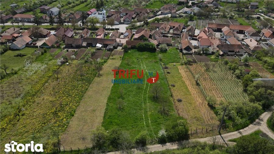 Casa autentica cu farmec transilvanean o proprietate rara in Cricau - 2