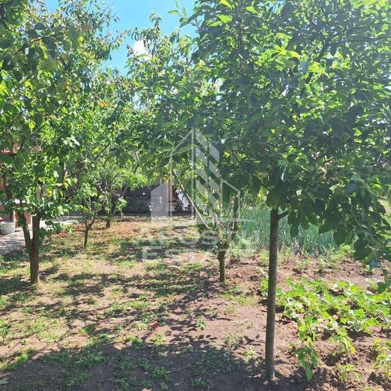 Casa individuala in Ianova,Comuna Remetea Mare - 12